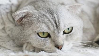 点亮黑夜：“午夜”版本迷你探索综合成就