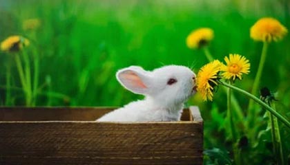 点亮黑夜：“午夜”版本迷你探索综合成就